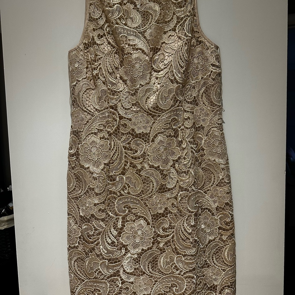 Elegant Lace Sleeveless Dress - Beige